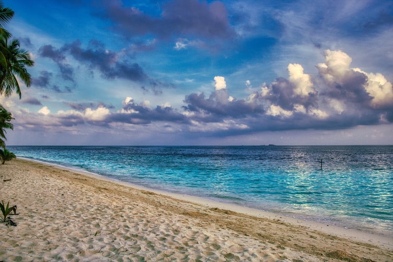 Maldives Tropics